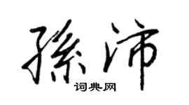 王正良孫沛行書個性簽名怎么寫