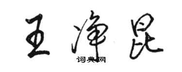 駱恆光王淨昆行書個性簽名怎么寫