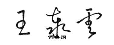 駱恆光王泰雲草書個性簽名怎么寫