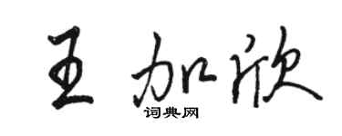 駱恆光王加欣行書個性簽名怎么寫