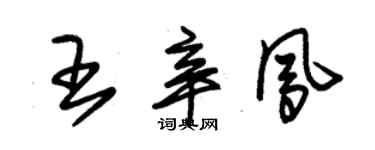 朱錫榮王辛鳳草書個性簽名怎么寫