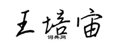 王正良王培宙行書個性簽名怎么寫