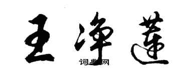 胡問遂王淨蓮行書個性簽名怎么寫