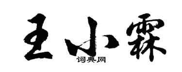 胡問遂王小霖行書個性簽名怎么寫