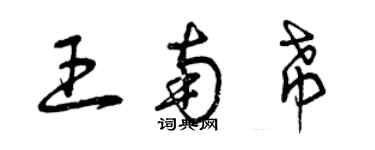 曾慶福王南希草書個性簽名怎么寫