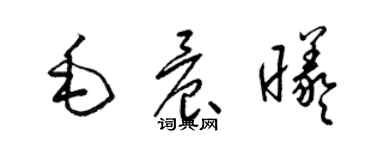 梁錦英毛晨曦草書個性簽名怎么寫