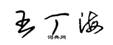 朱錫榮王丁海草書個性簽名怎么寫