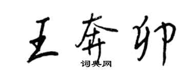 王正良王奔卯行書個性簽名怎么寫