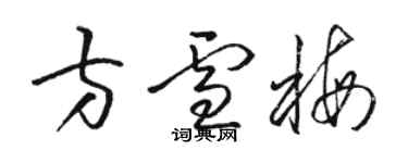 駱恆光方雪梅草書個性簽名怎么寫