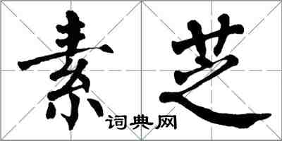 翁闓運素芝楷書怎么寫