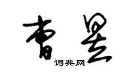 朱錫榮曹昱草書個性簽名怎么寫