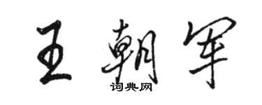 駱恆光王朝軍行書個性簽名怎么寫