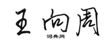 駱恆光王向周行書個性簽名怎么寫