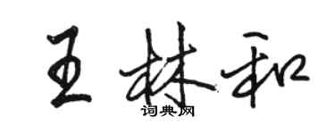 駱恆光王林和行書個性簽名怎么寫