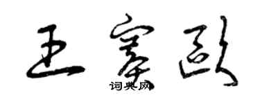 曾慶福王賽歐草書個性簽名怎么寫