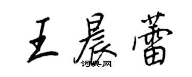 王正良王晨蕾行書個性簽名怎么寫