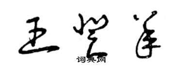 曾慶福王登羊草書個性簽名怎么寫