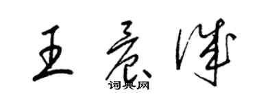 梁錦英王晨誠草書個性簽名怎么寫