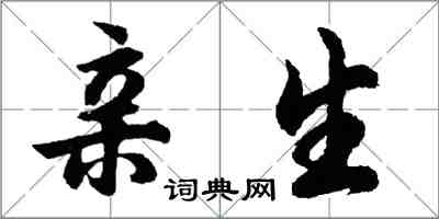 胡問遂親生行書怎么寫