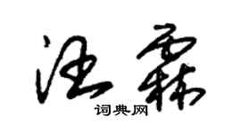 朱錫榮汪霖草書個性簽名怎么寫