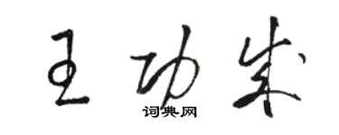 駱恆光王功成草書個性簽名怎么寫