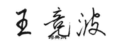 駱恆光王競波行書個性簽名怎么寫