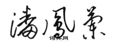 駱恆光潘鳳蘭草書個性簽名怎么寫