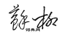 駱恆光蘇柳草書個性簽名怎么寫