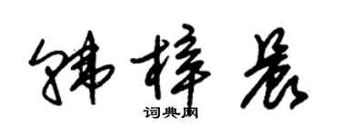 朱錫榮韓梓晨草書個性簽名怎么寫
