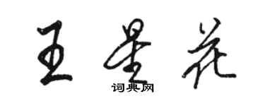 駱恆光王星花行書個性簽名怎么寫