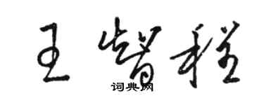 駱恆光王智程草書個性簽名怎么寫