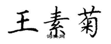 丁謙王素菊楷書個性簽名怎么寫