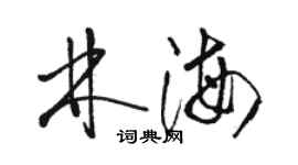 駱恆光林海草書個性簽名怎么寫