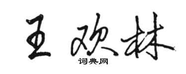 駱恆光王歡林行書個性簽名怎么寫
