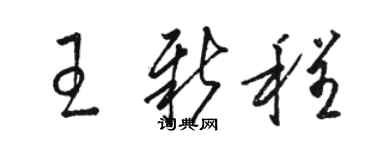 駱恆光王新程草書個性簽名怎么寫