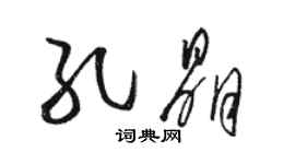 駱恆光孔晶草書個性簽名怎么寫