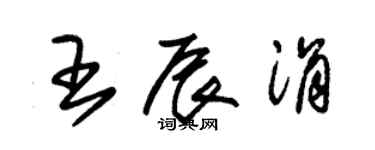 朱錫榮王辰涓草書個性簽名怎么寫