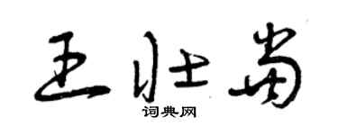 曾慶福王壯當草書個性簽名怎么寫