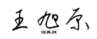 梁錦英王旭原草書個性簽名怎么寫