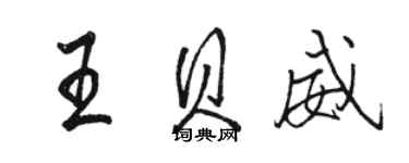 駱恆光王貝威行書個性簽名怎么寫