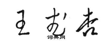 駱恆光王武杏草書個性簽名怎么寫