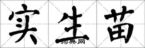 翁闓運實生苗楷書怎么寫