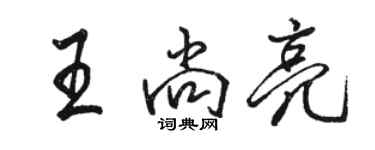 駱恆光王尚亮行書個性簽名怎么寫