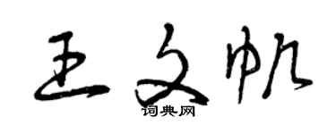 曾慶福王文帆草書個性簽名怎么寫