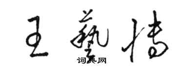 駱恆光王藝博草書個性簽名怎么寫