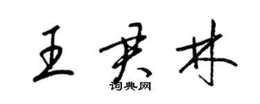 梁錦英王君林草書個性簽名怎么寫