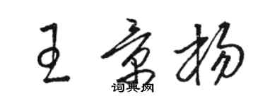 駱恆光王景楊草書個性簽名怎么寫