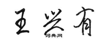 駱恆光王興有行書個性簽名怎么寫