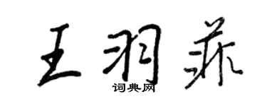 王正良王羽菲行書個性簽名怎么寫