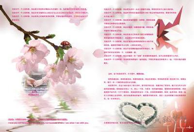 柴組詞，柴字組詞，帶柴字的成語